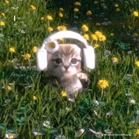 original sound - uynekmom