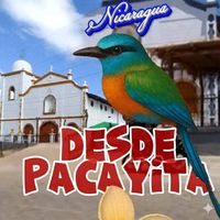 desde.pacayita