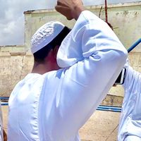 الصوت الأصلي