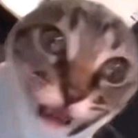28fu45