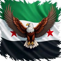 zaher_hamdan45