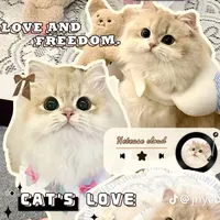 original sound - ufasukaa_matchaaa