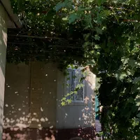 original sound - konechnoje