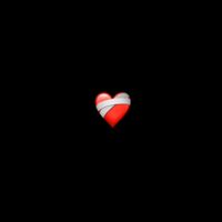 rolitass_zx