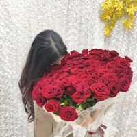 baharmoon6
