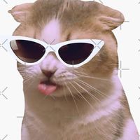 nihan_sorkar1