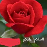 arifkareem03