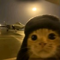 suara asli - plengerr