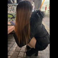 オリジナル楽曲 - めい