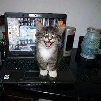 оригинальный звук