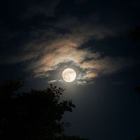 وصل 2m وحطيته خاص ههههه