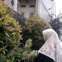 suara asli - aesthetic view