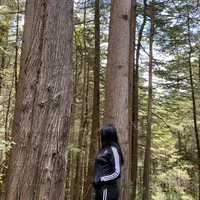 original sound - tachi.e