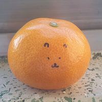 블랙자칼 음원_많이 써주세요