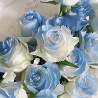 nhạc nền - 小华华