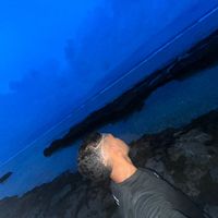 two_broow