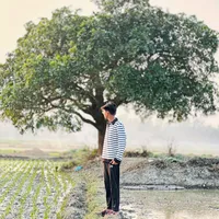 original sound - user28192427552826