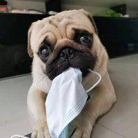 nan_few
