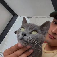 alan.velazquezel12