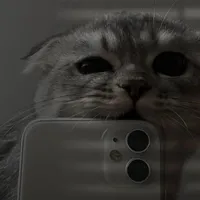 original sound - zmcking