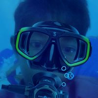 suara asli - Aldi  ya🐬🦖