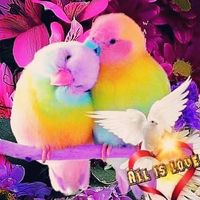 دى حاجة متعبه