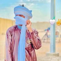 habibtargi
