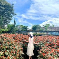 thun.nadi6