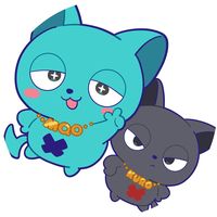 nekozumeinfo
