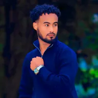 original sound - rmi3120