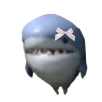 pqp.mz