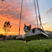 original sound - ViyIvy