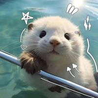 nhạc nền - So Cute