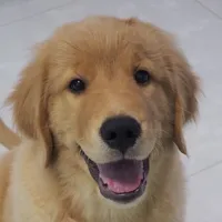 original sound - kait000n