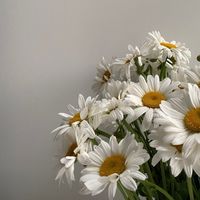 オリジナル楽曲 - 🍋あーる☕