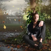 original sound - borhanshaar