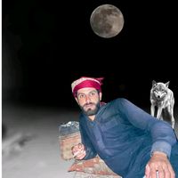الصوت الأصلي