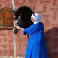almazionahhadil