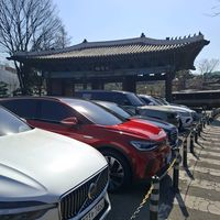 原声 - 狗子剪影