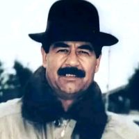 الصوت الأصلي