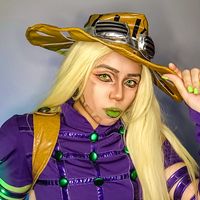zensama_fs29