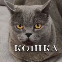 оригинальный звук