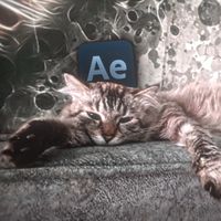 оригинальный звук - frameaexz