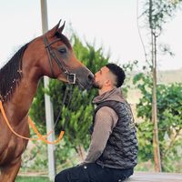 الصوت الأصلي