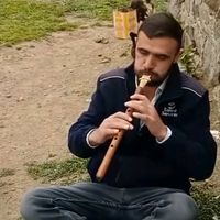 orijinal ses