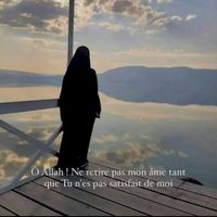 sadia.d8