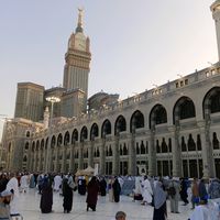 user444202532298