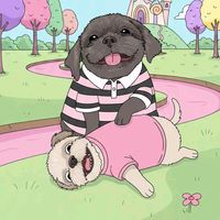 original sound - Nella the Shih🐶