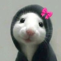 aniqa__ali
