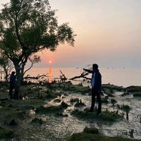 original sound - Vishal Roy Chowdhury